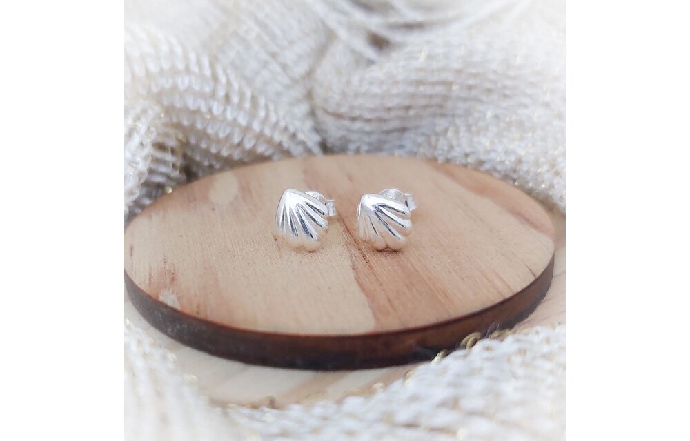 ARETES PLATA 925 210000008336