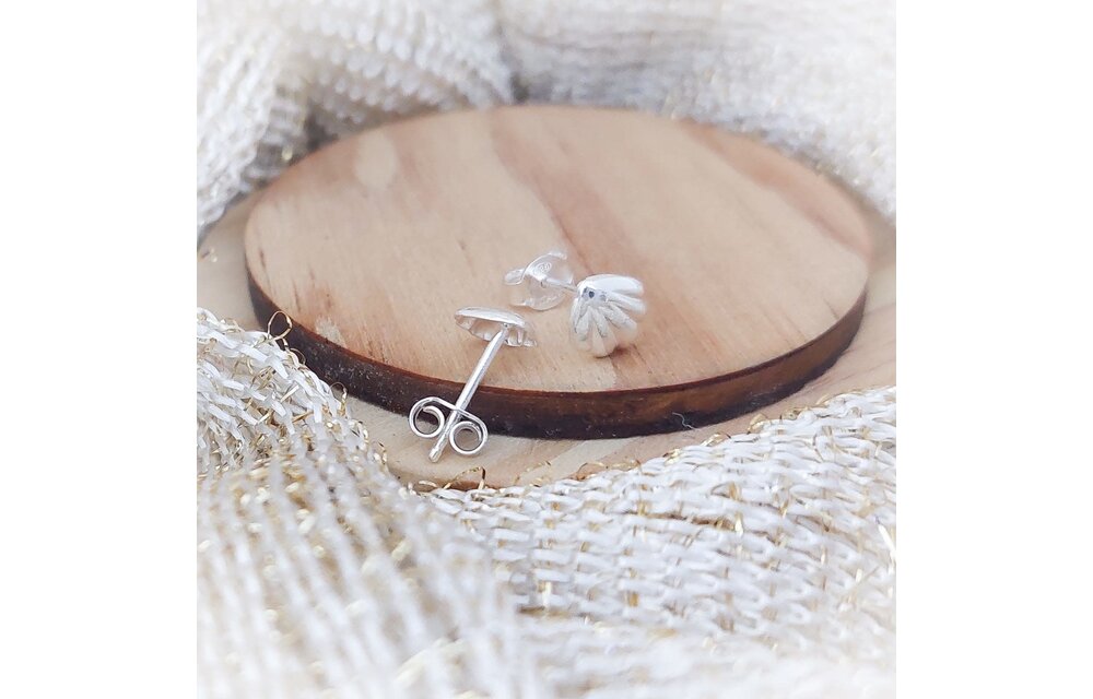 ARETES PLATA 925 210000008336