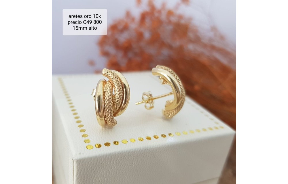 ARETES ORO 10K 210000003421