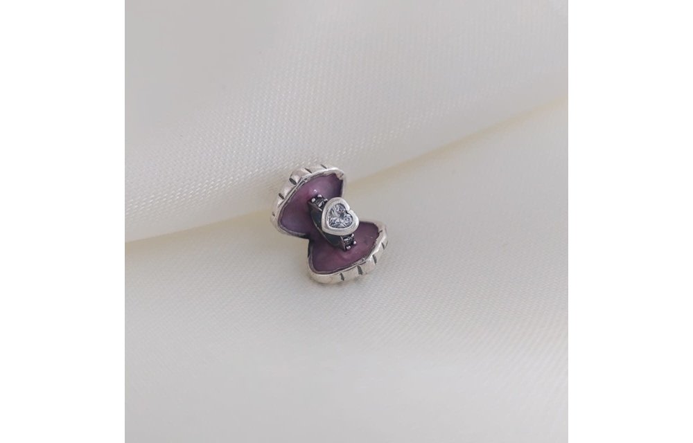 CHARM PLATA 925 210000010344