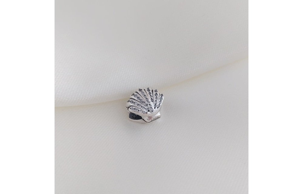 CHARM PLATA 925 210000010462