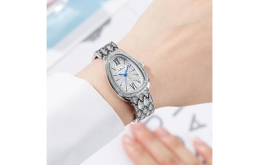 RELOJ PARA DAMA ACERO 210000009043