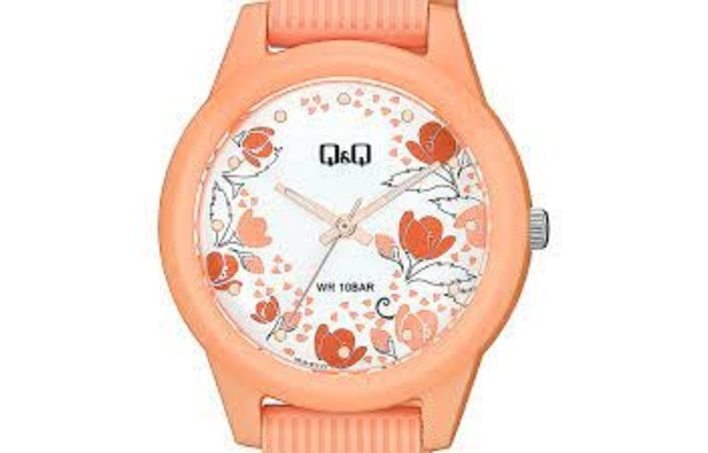 Reloj QQ V01A-011VY