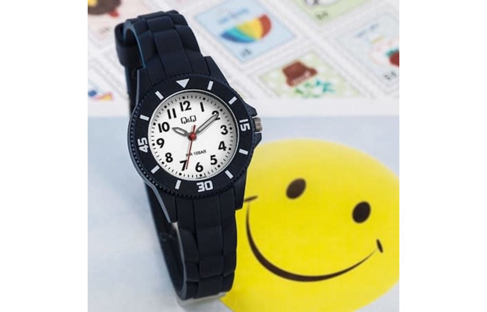 Reloj QQ VS66J003Y