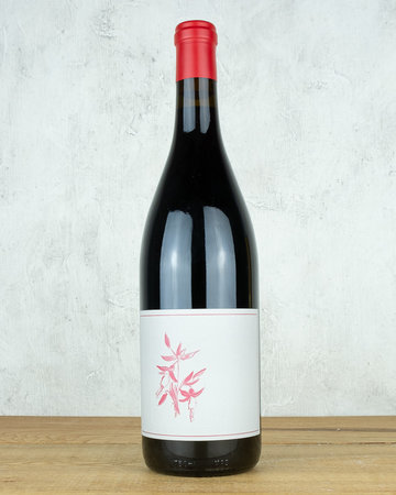 Arnot-Roberts Gamay Noir