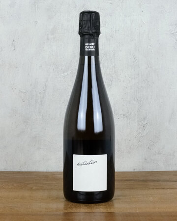 Benoit Dehu Initiation Blanc