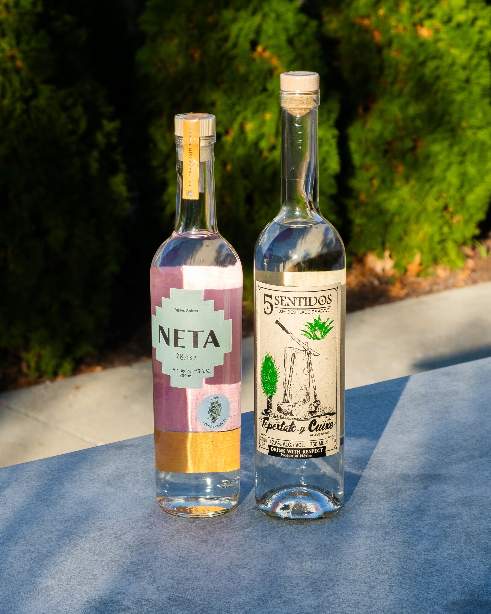 WWM AGAVE STORE PICKS