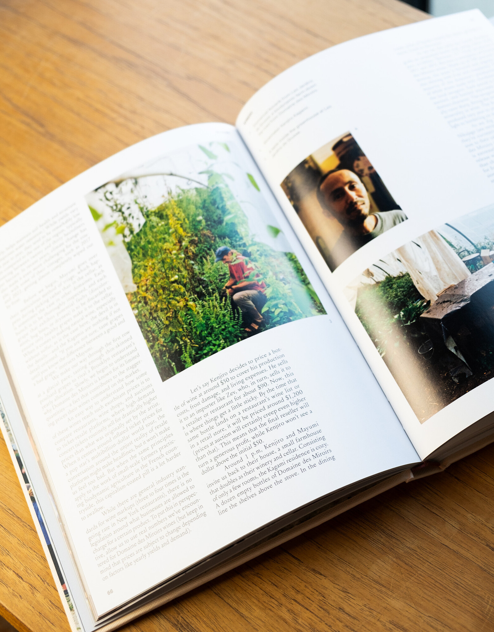 Spilled: Natural Winemakers Stories & Recipes