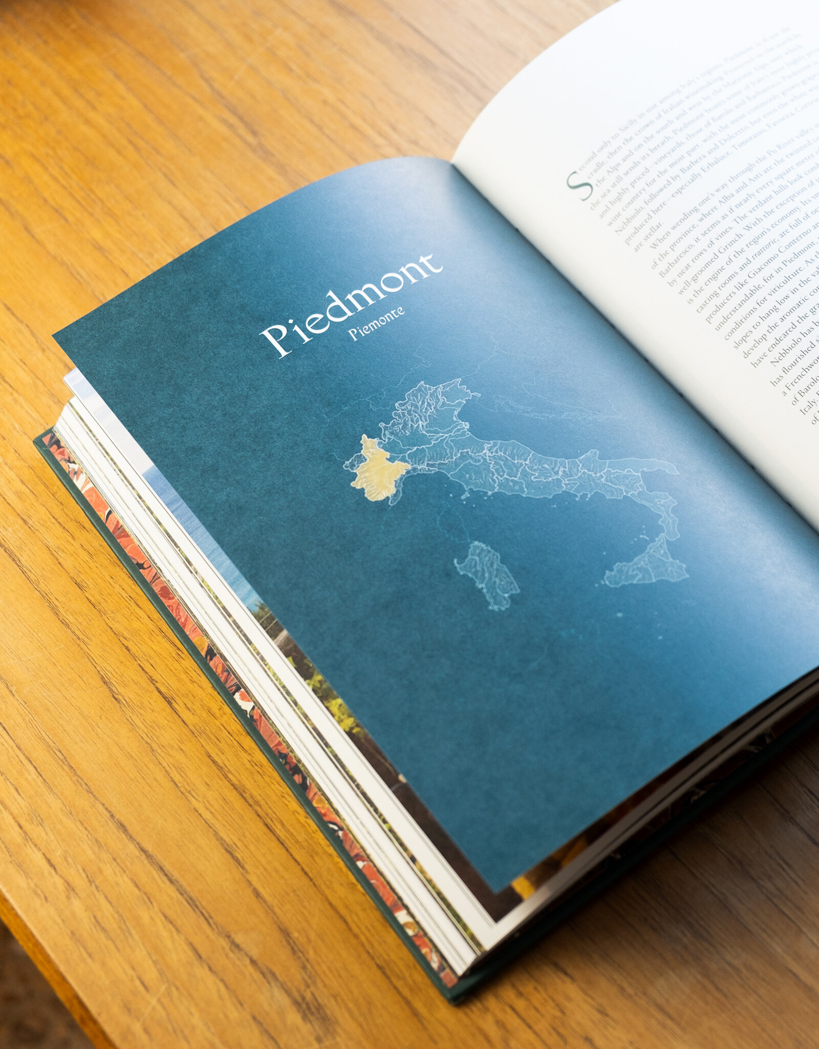 VINO: THE ESSENTIAL GUIDE TO REAL ITALIAN WINE