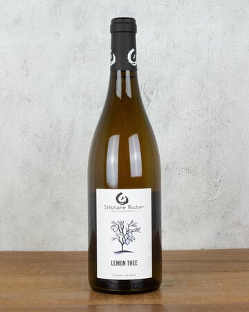 Stephane Rocher Lemon Tree Chenin
