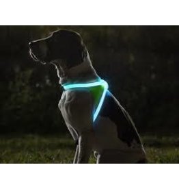 Noxgear Noxgear - Lighthound Illuminated Harness