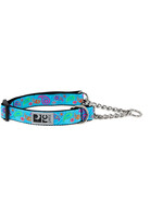 RC Pets Products RC Pets - Training Collar Tropical Paisley