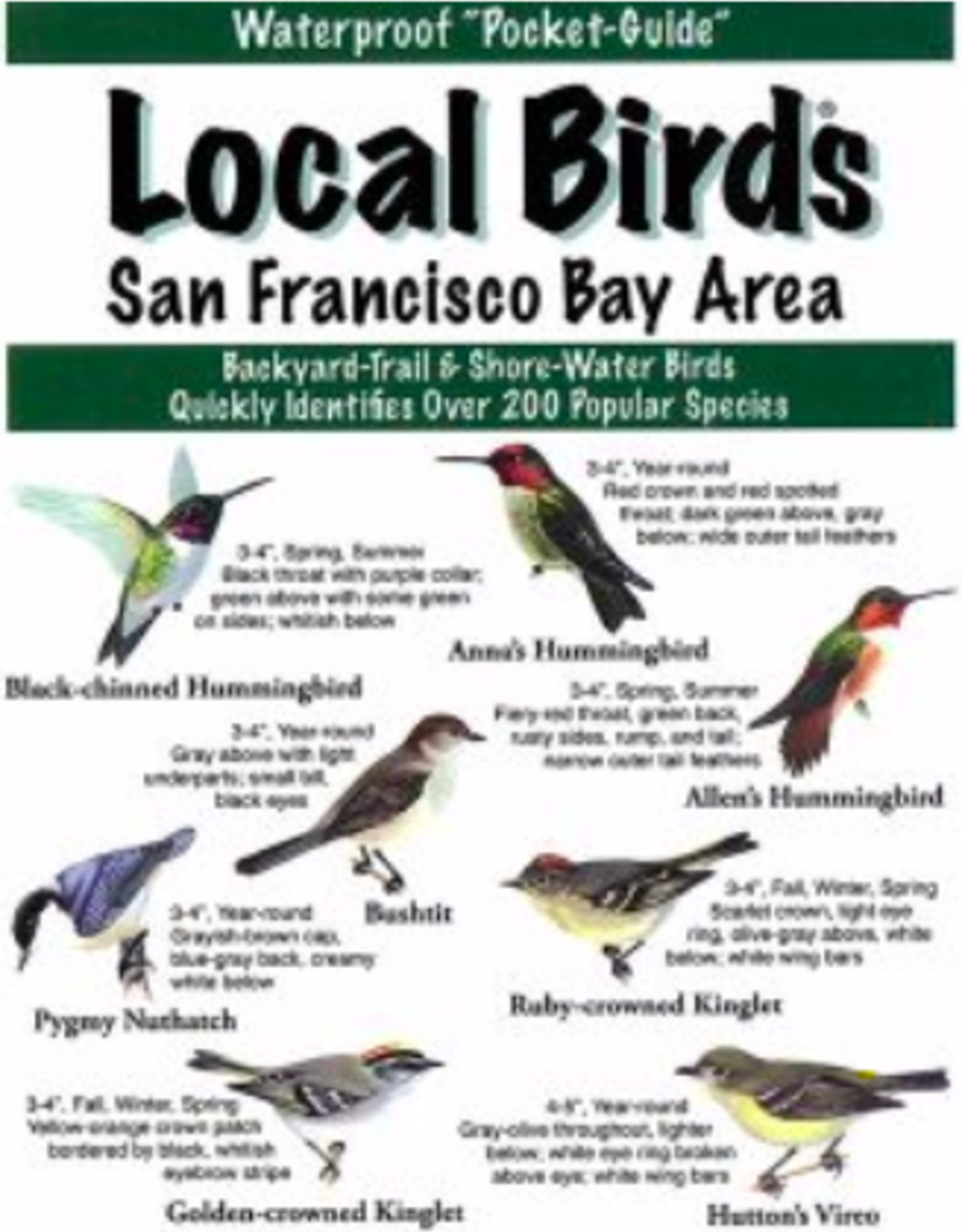 local bird shops