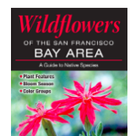 Wildflowers of the SF Bay Area