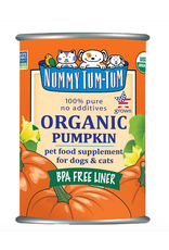 NUMMY TUM TUM NUMMY TUM TUM PUMPKIN