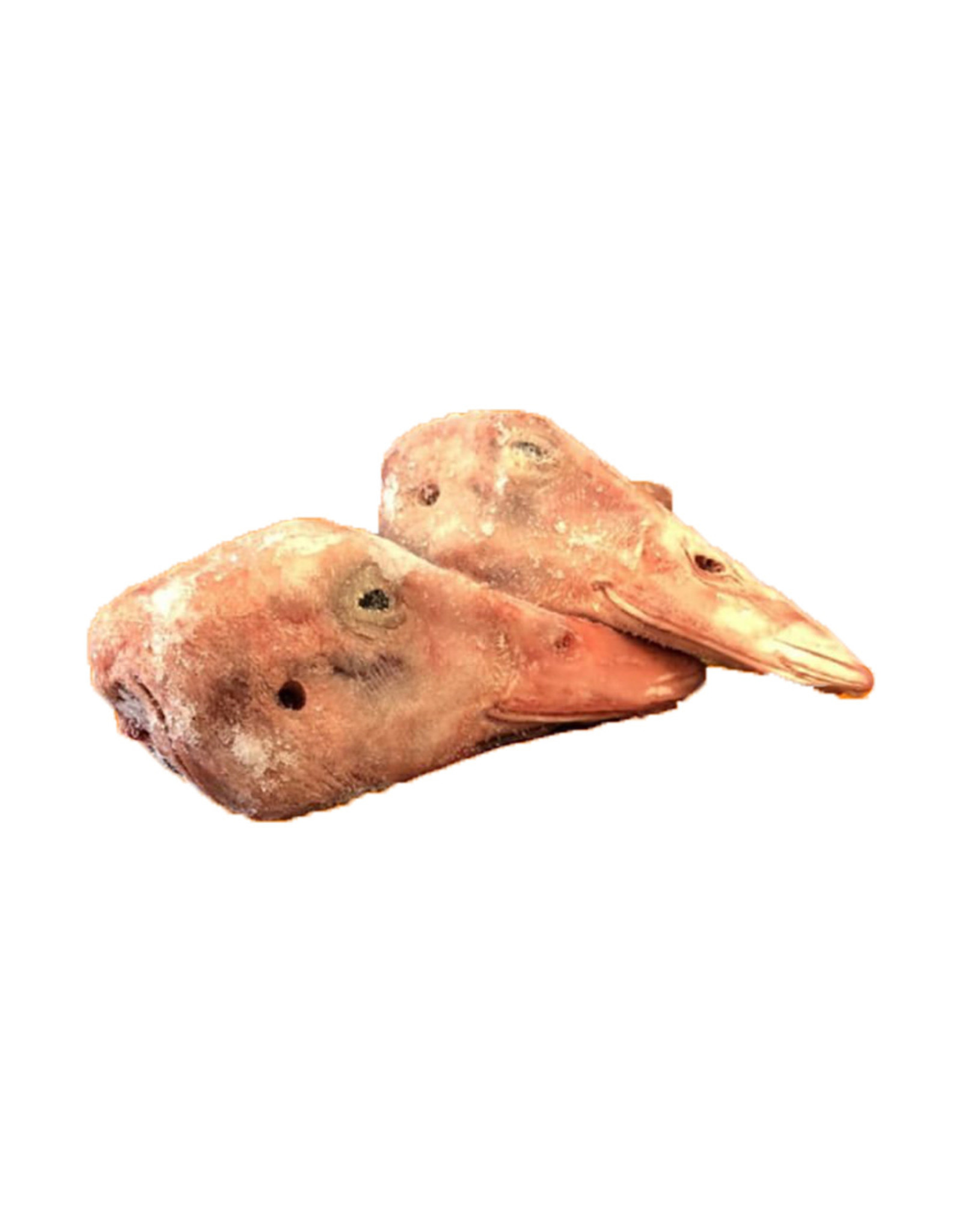 DOMESTIC CARNIVORE DUCK HEADS 2PC