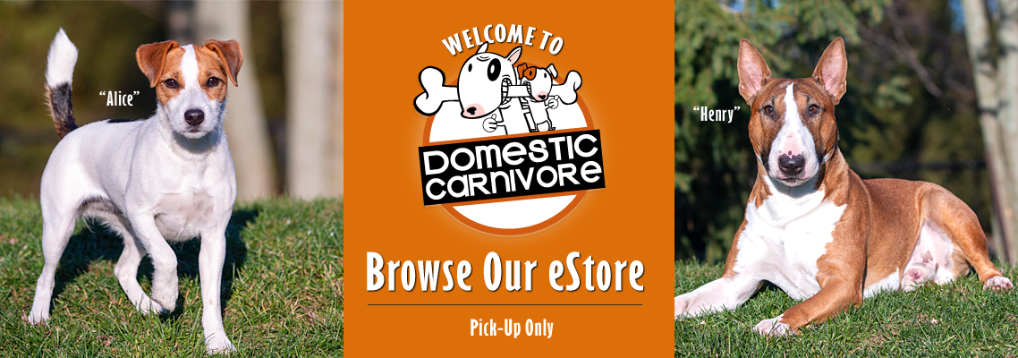 Welcome to Domestic Carnivore! 1