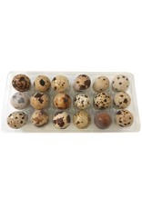 BIG COUNTRY RAW BCR QUAIL EGGS