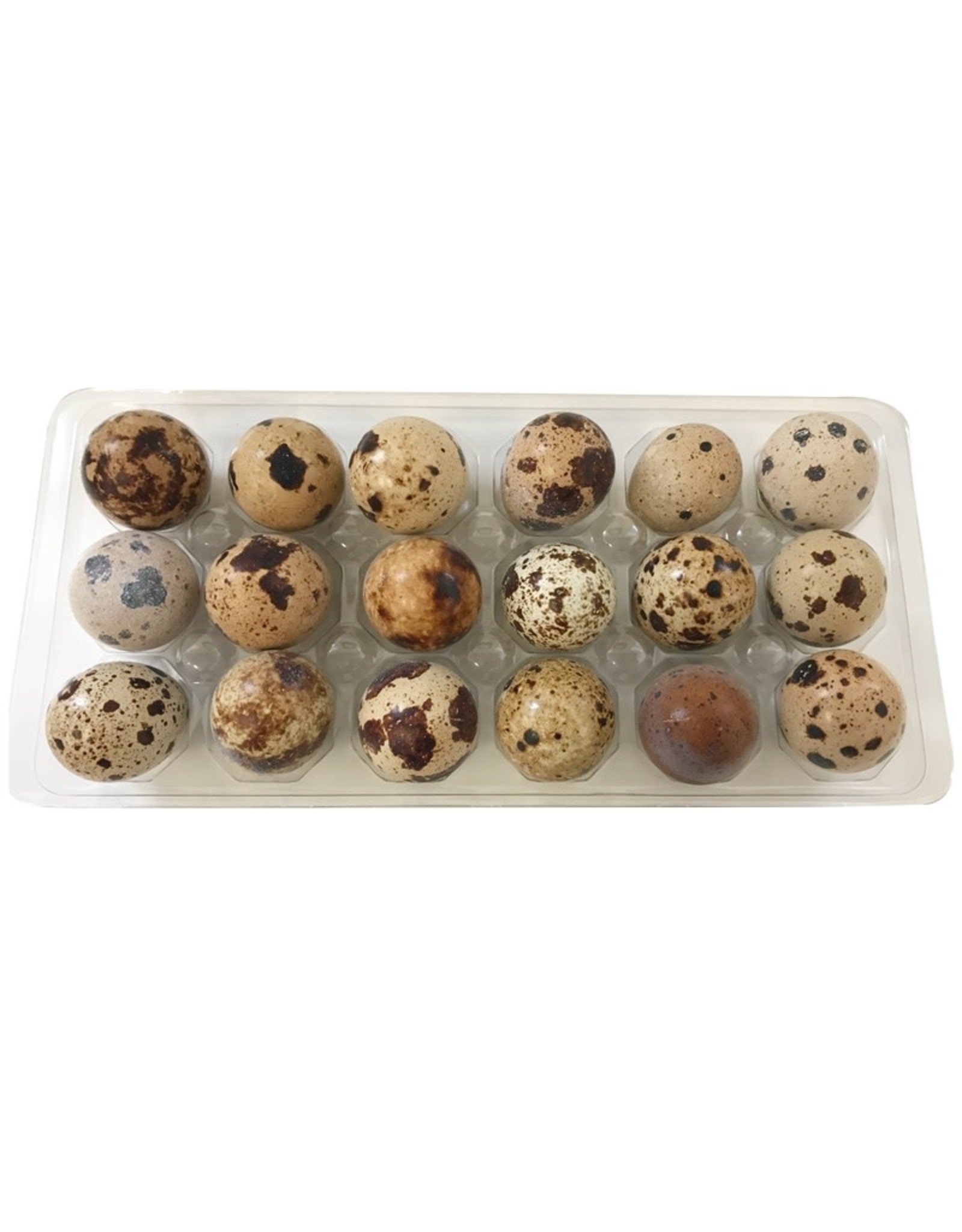 BIG COUNTRY RAW BIG COUNTRY RAW QUAIL EGGS