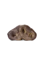 VITAL ESSENTIALS VITAL ESSENTIALS PORK SNOUT EACH