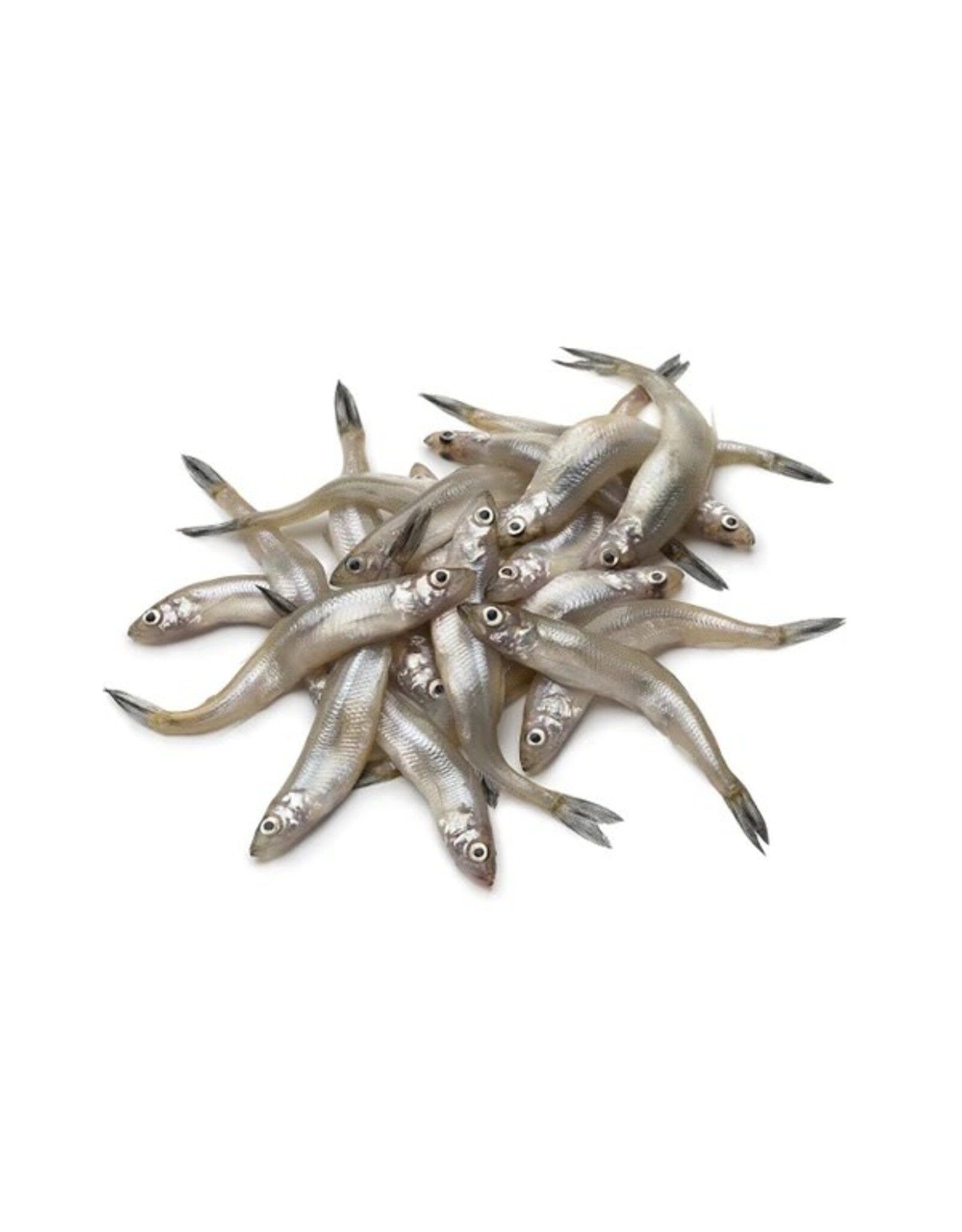 DOMESTIC CARNIVORE SMELTS 2LB