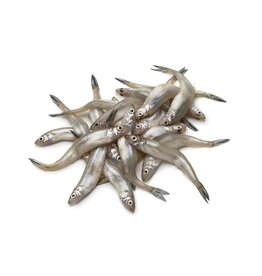 DOMESTIC CARNIVORE SMELTS 2LB