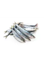 IRON WILL RAW IRON WILL RAW SARDINES 1LB