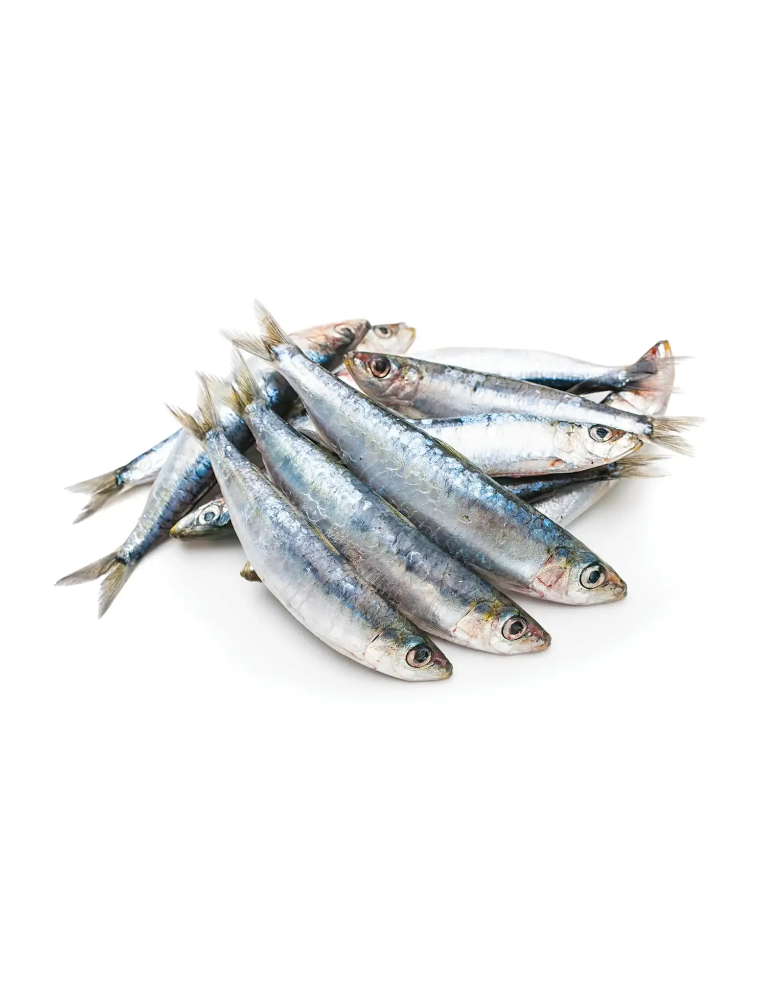 IRON WILL RAW IRON WILL RAW SARDINES 1LB