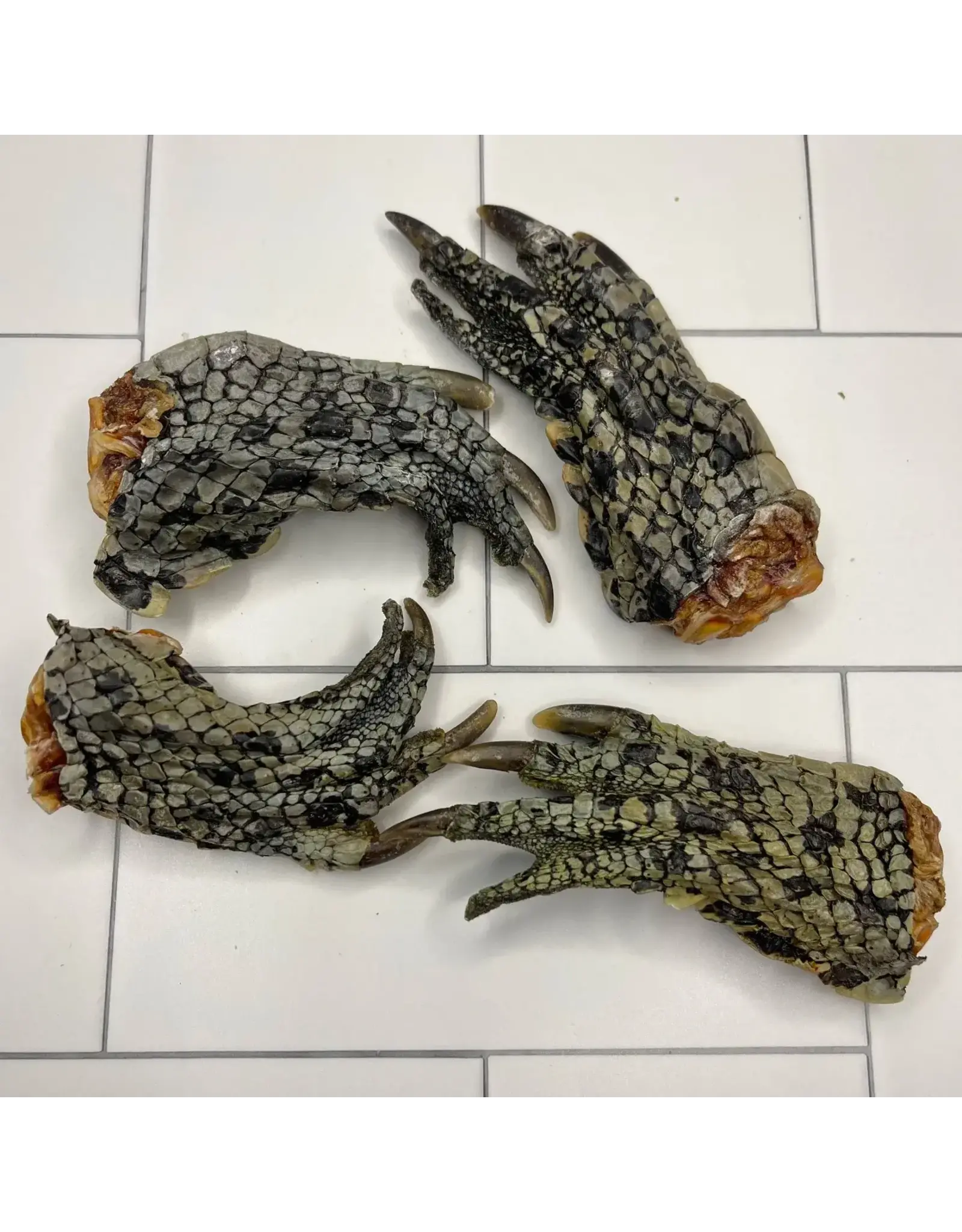 LULU'S KITCHEN GOT CROC FEET