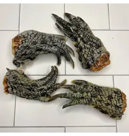 LULU'S KITCHEN GOT CROC FEET