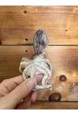 GRAND VALLEY QUAIL GRAND VALLEY OCTOPUS