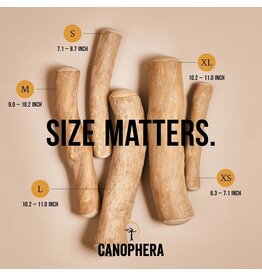 CANOPHERA CANOPHERA WOOD CHEW