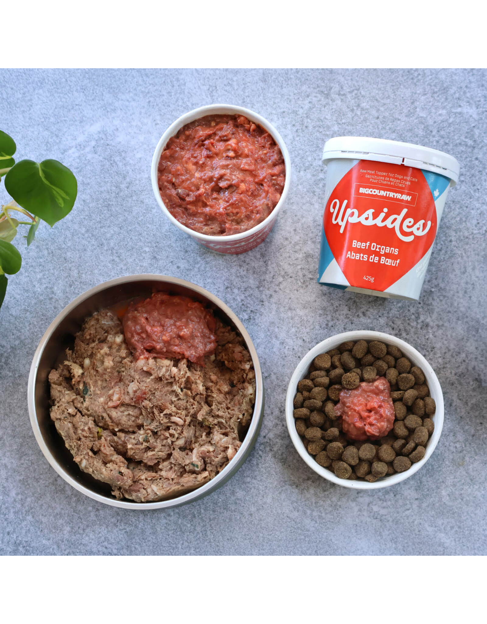 BIG COUNTRY RAW BCR UPSIDES BEEF ORGAN BLEND