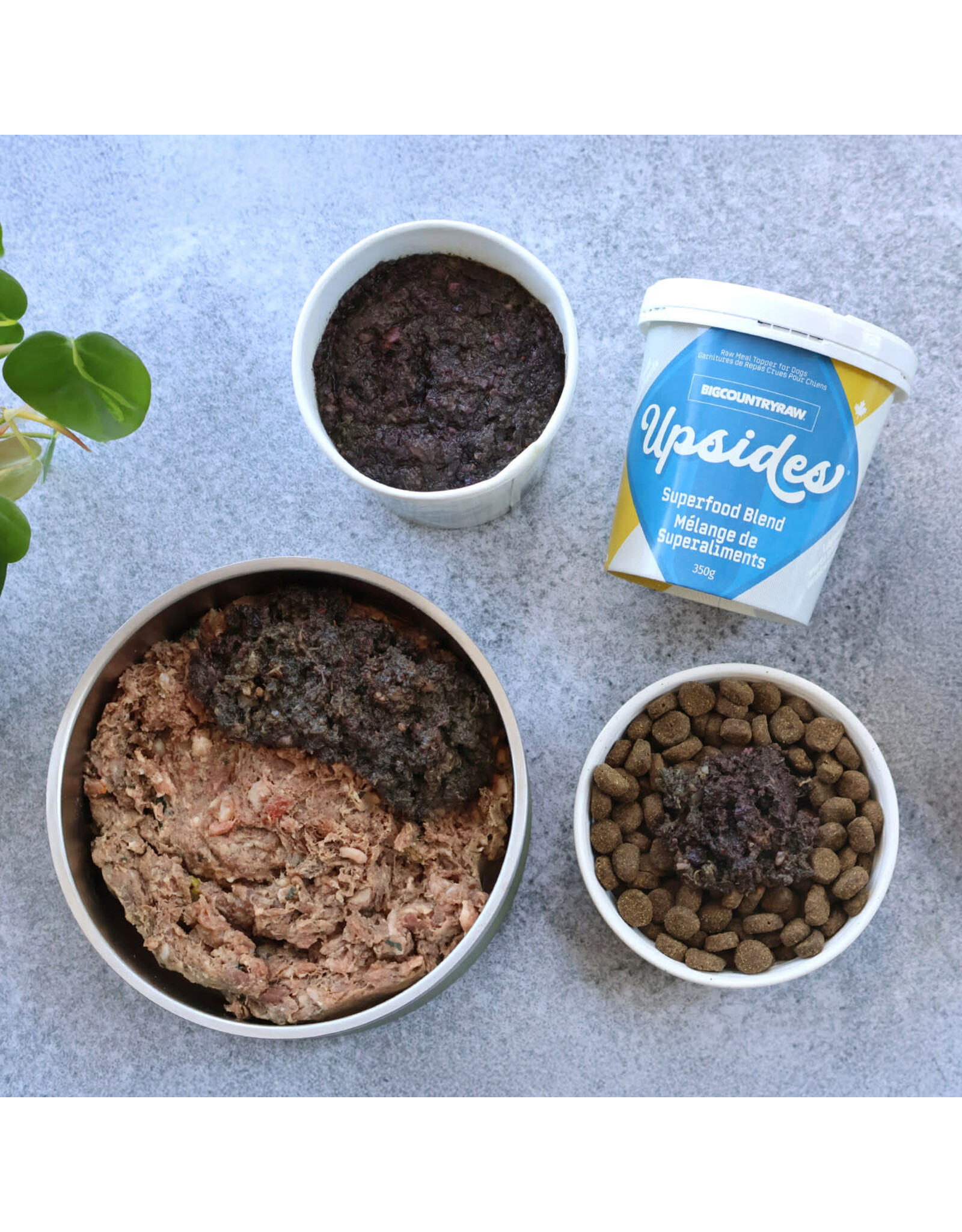 BIG COUNTRY RAW BIG COUNTRY RAW UPSIDES SUPER FOOD BLEND