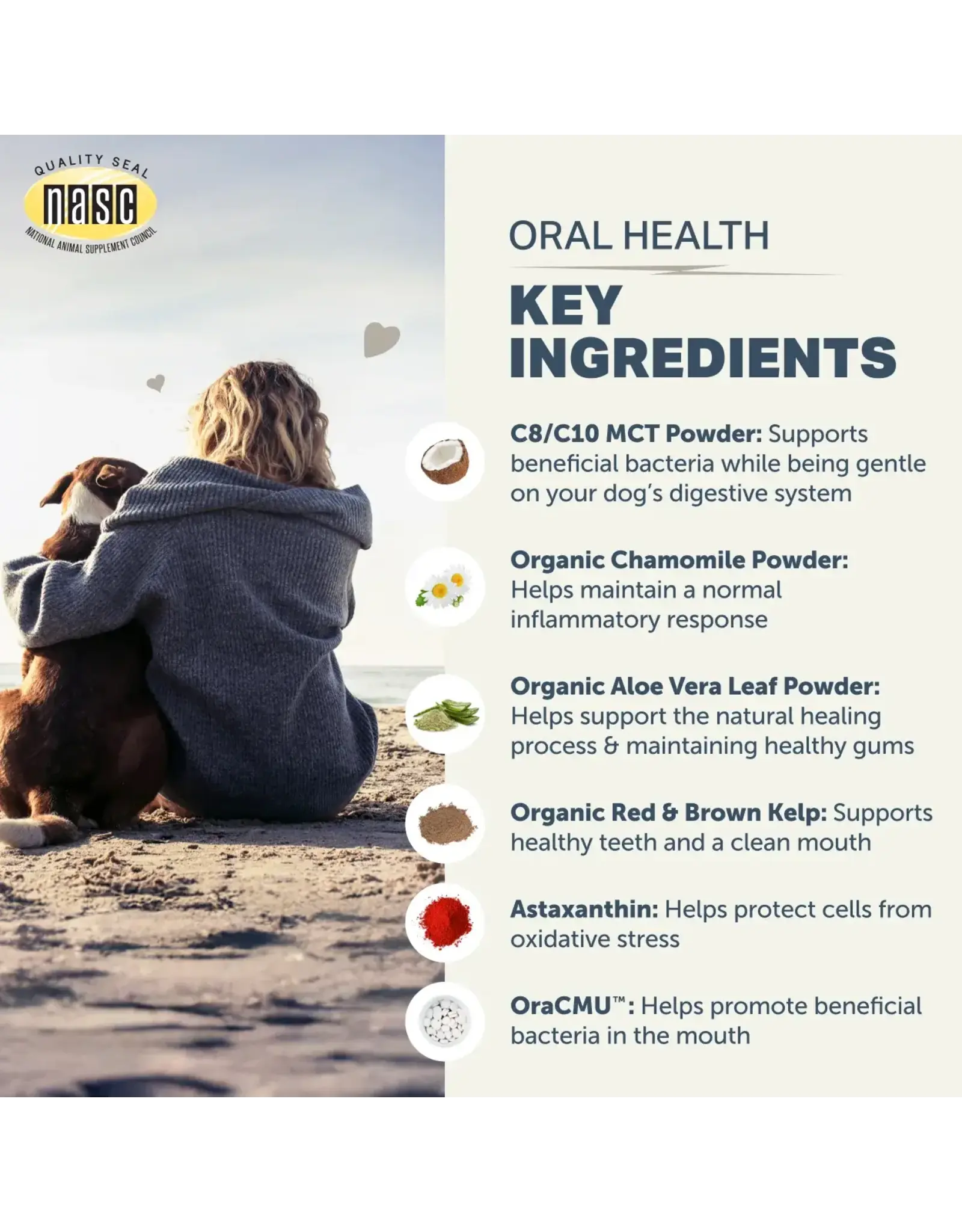 FOUR LEAF ROVER FOUR LEAF ROVER ORAL HEALTH POWDER