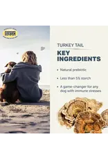 FOUR LEAF ROVER FOUR LEAF ROVER TURKEY TAIL MUSHROOM