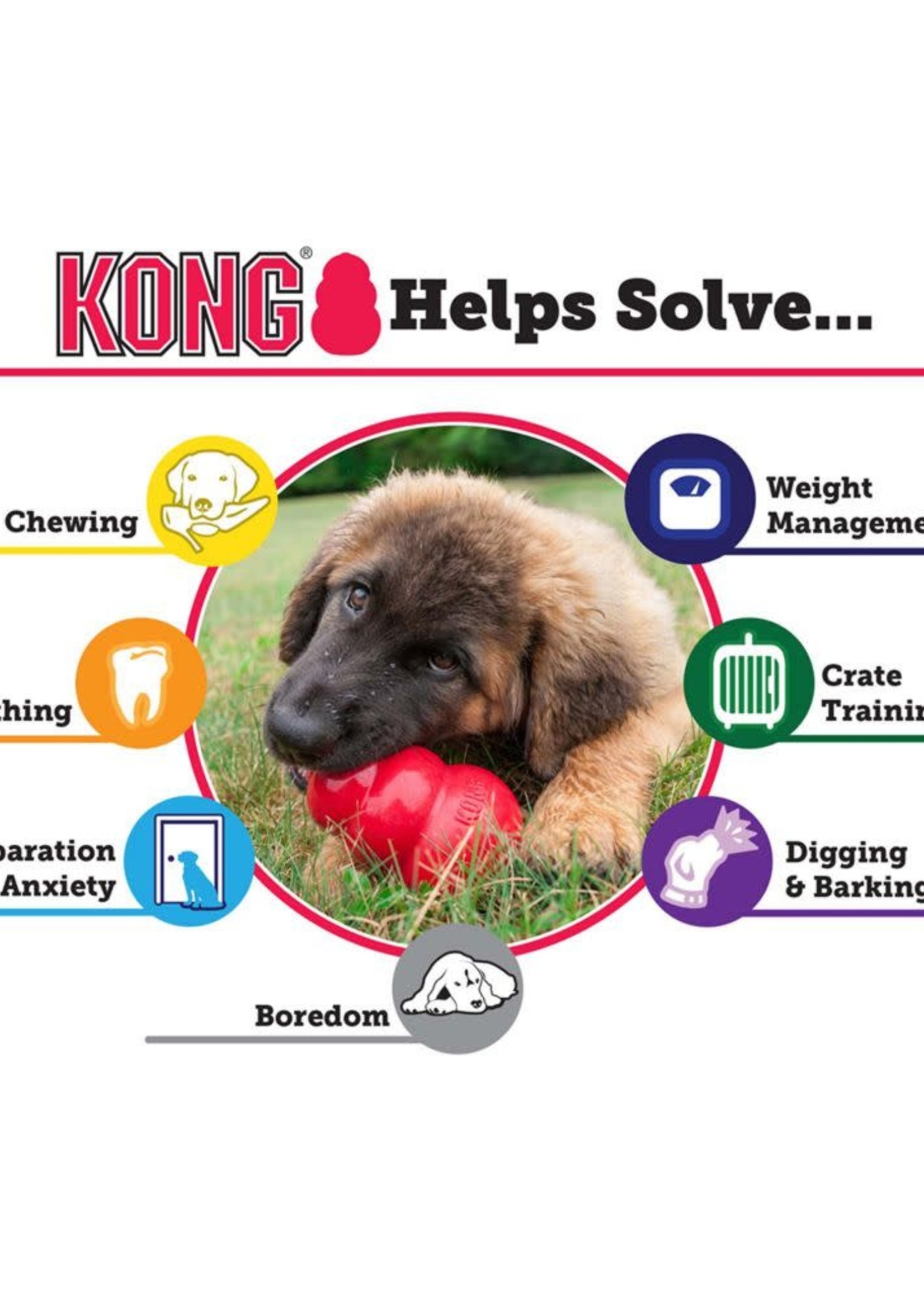 KONG KONG Classic Dog Toy