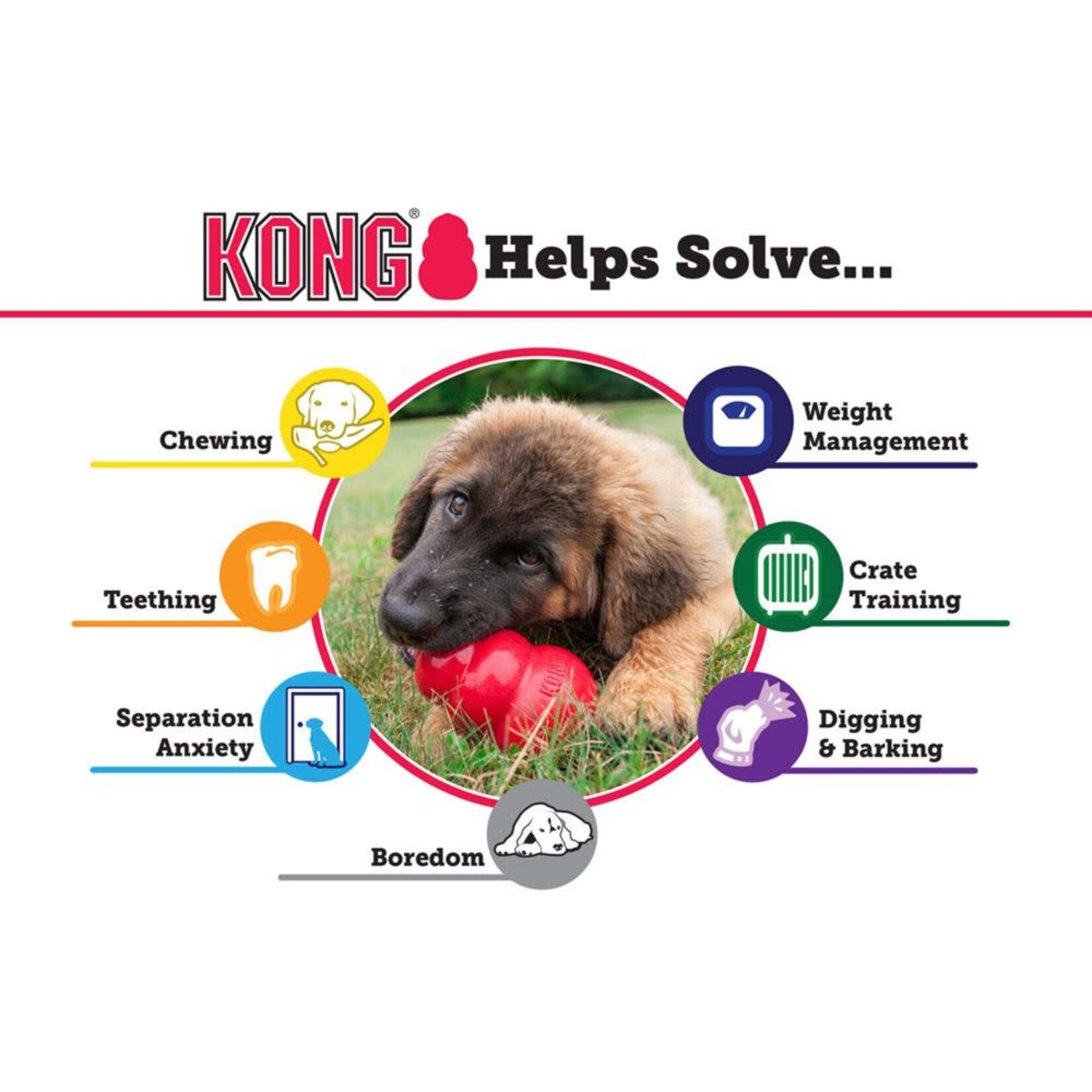 KONG KONG Puppy Dog Toy