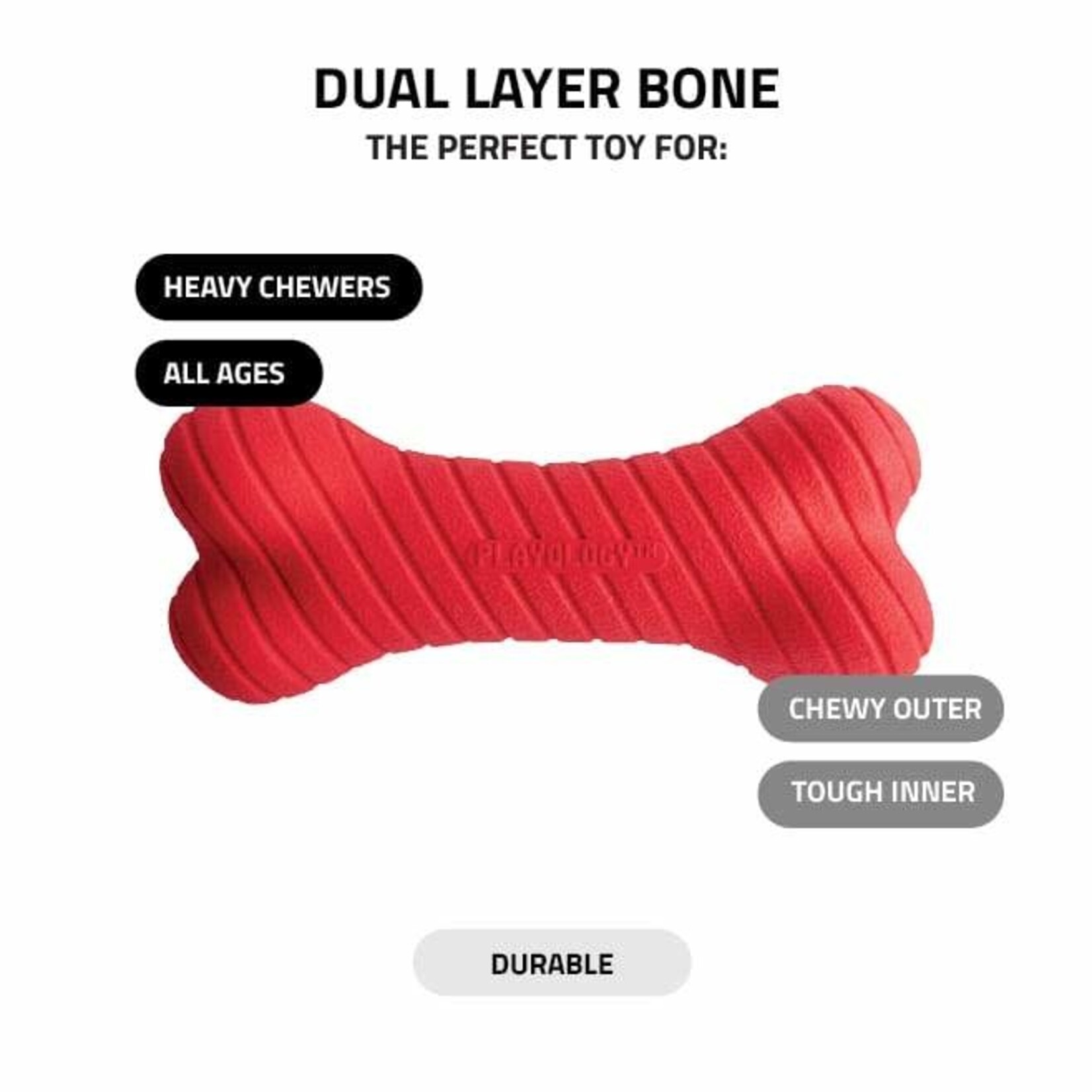 Dual Layer Bone Scented Dog Toy