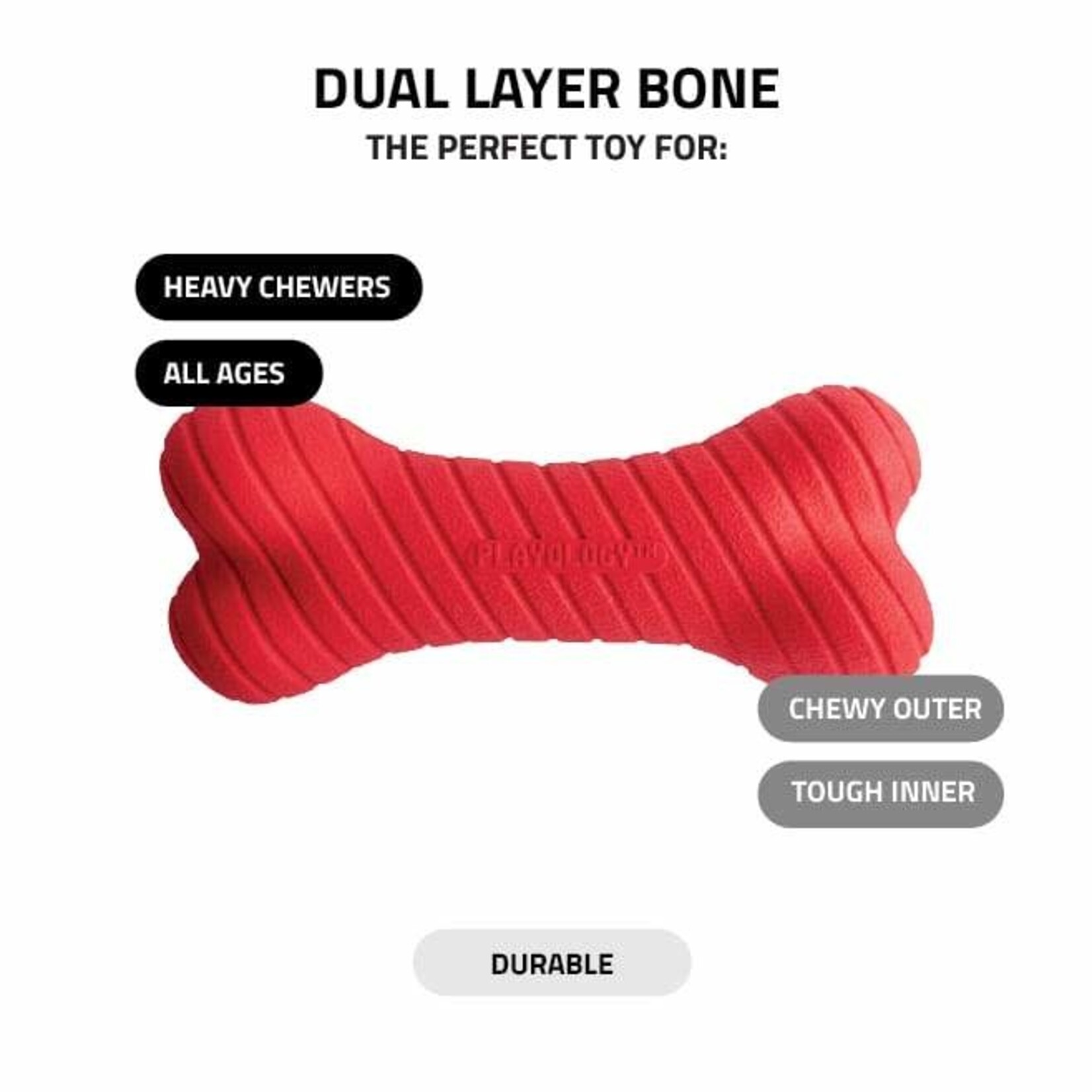 Playology Dual Layer Bone Scented Dog Toy