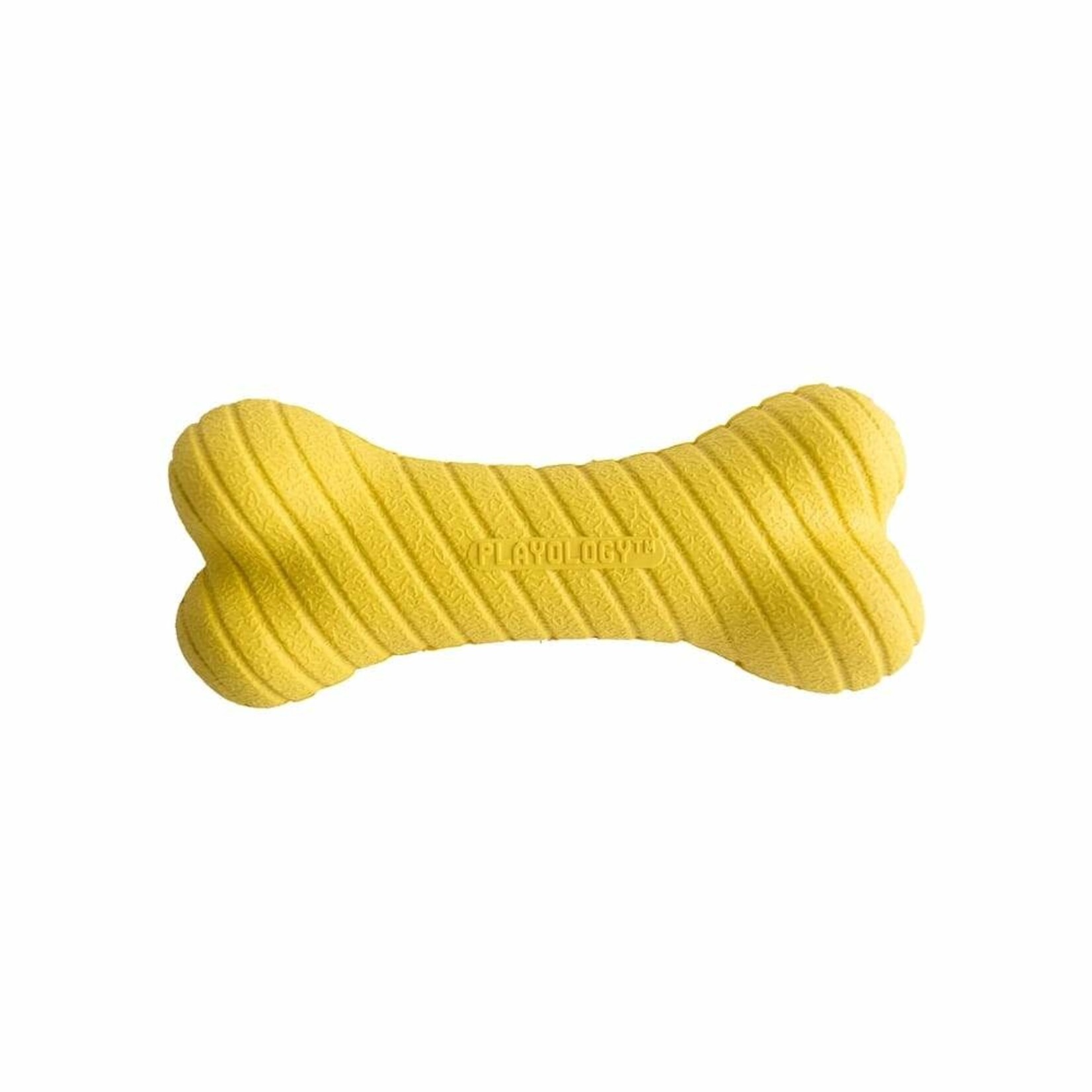 Playology Dual Layer Bone Scented Dog Toy