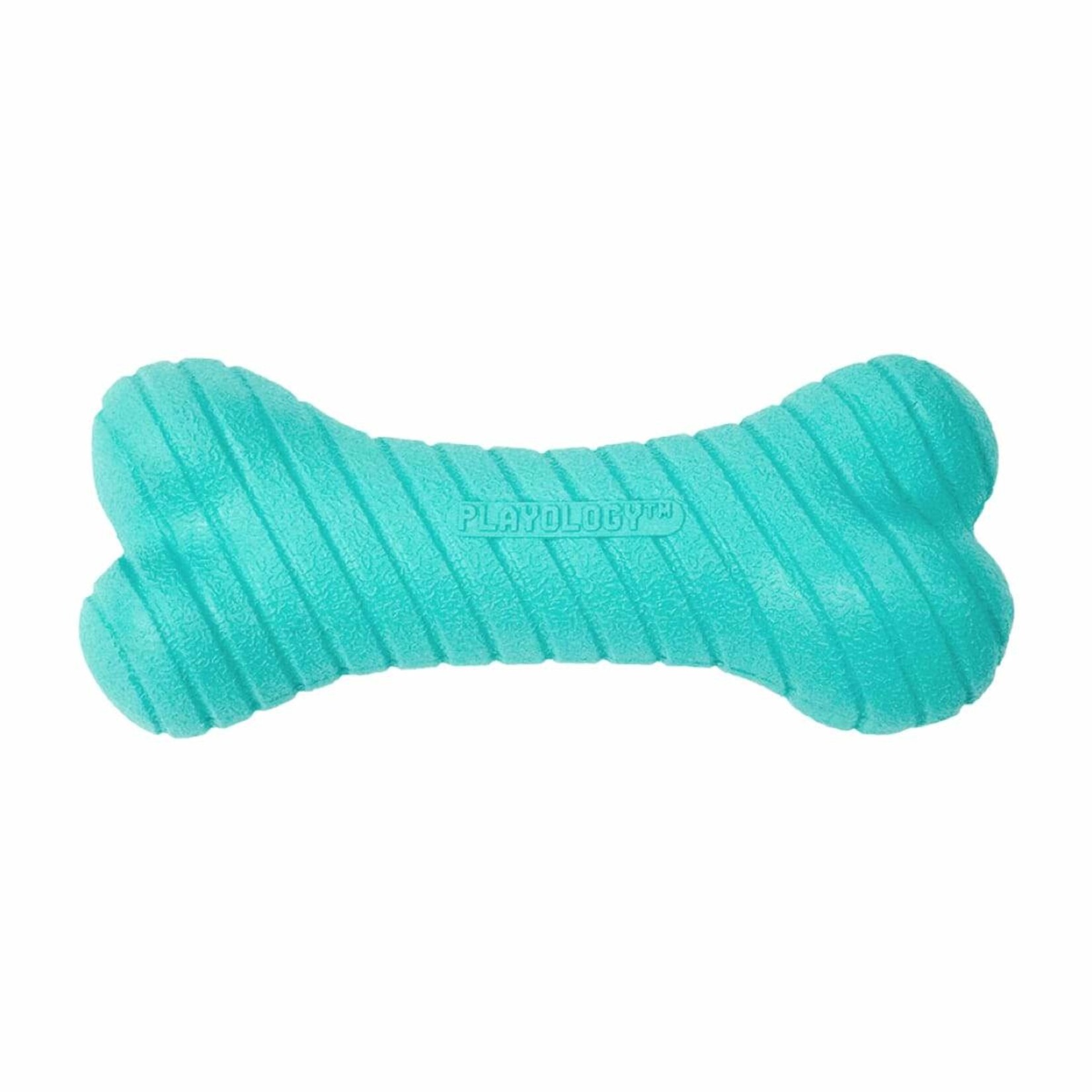 Playology Dual Layer Bone Scented Dog Toy