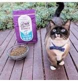 Stella & Chewy’s Stella & Chewy's | Raw Coated Kibble - Wild-Caught Salmon Recipe