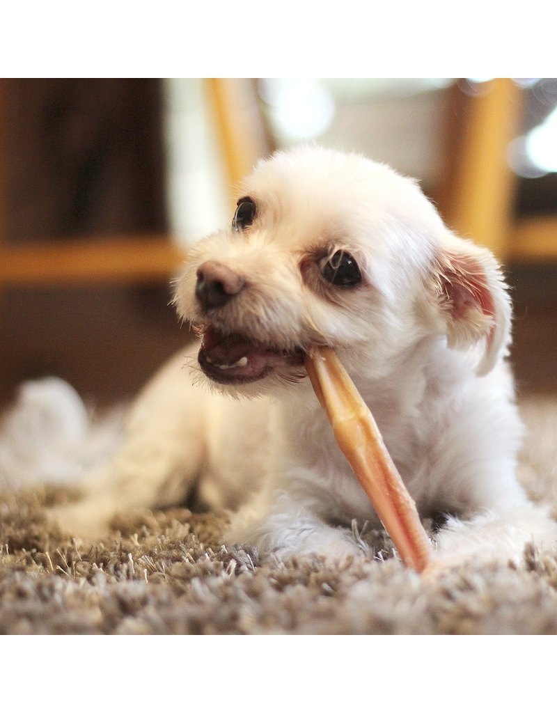 The Natural Dog Company 6in Standard Bully Sticks - Odor Free