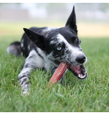 The Natural Dog Company 6in Jumbo Bully Sticks - Odor Free