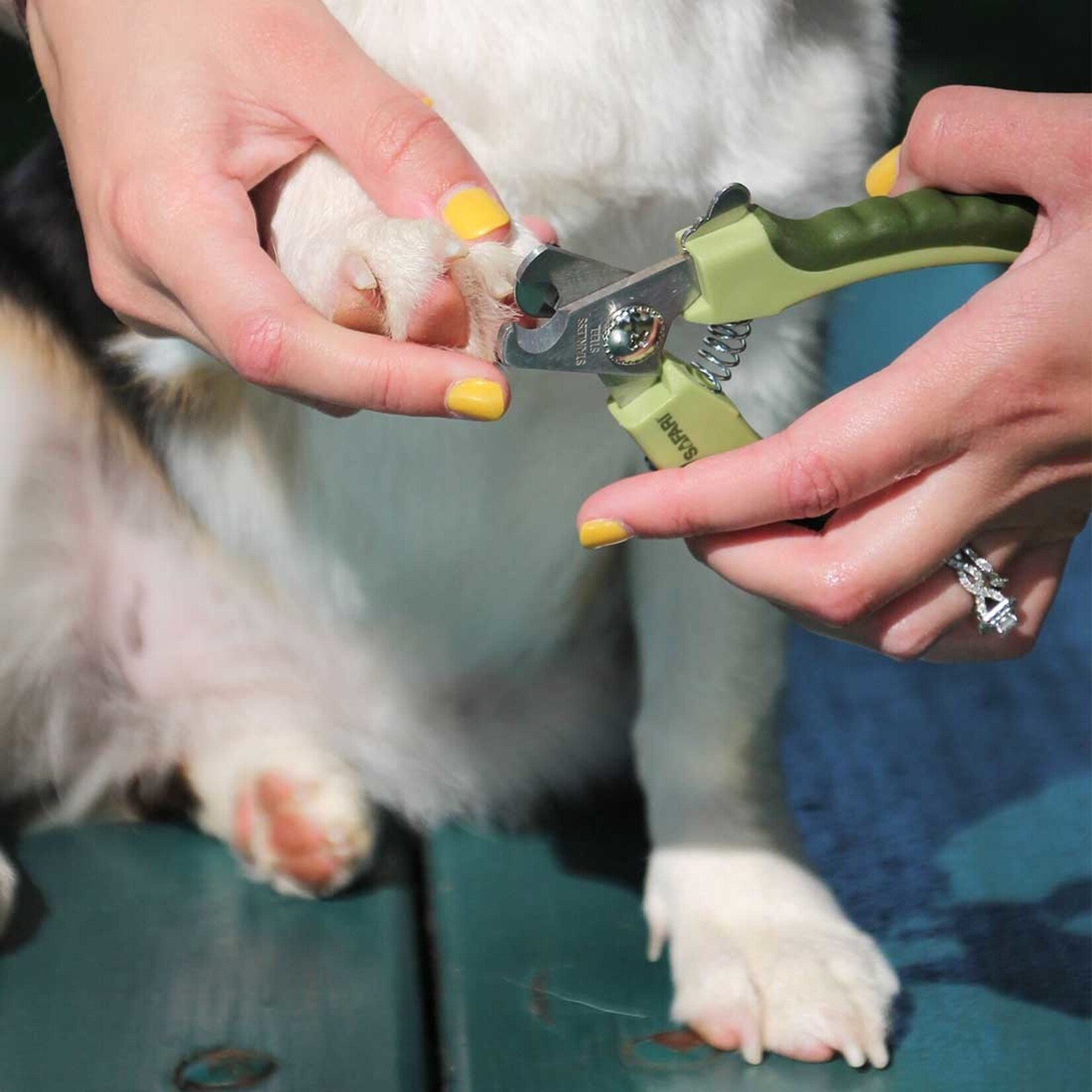 Safari Professional Dog Nail Trimmer