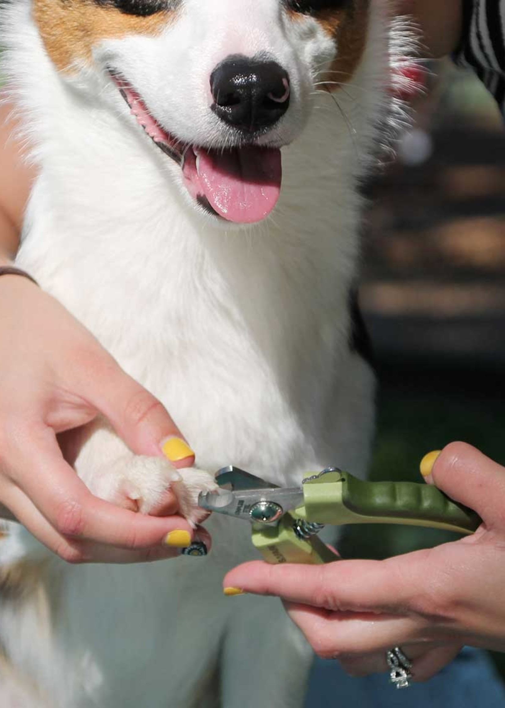 Safari Professional Dog Nail Trimmer