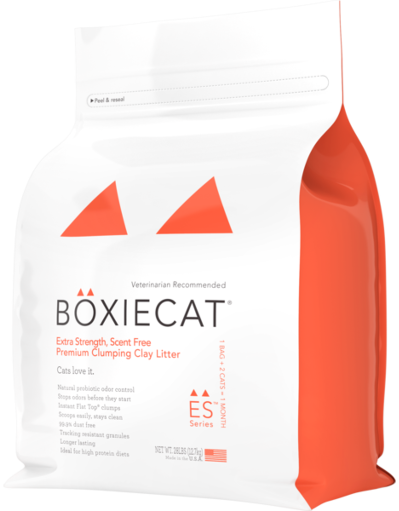 cat entertainment fish