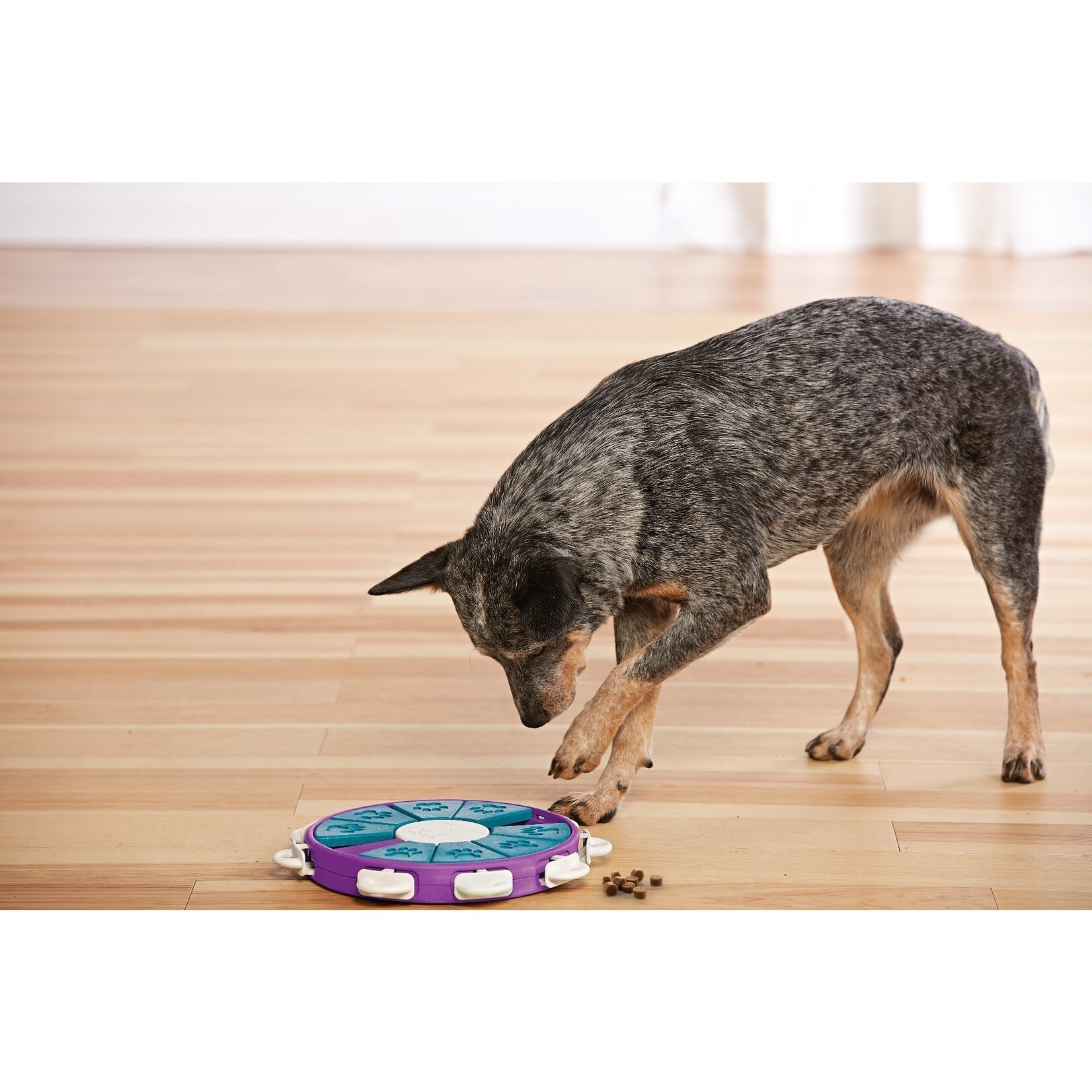 Outward Hound Puzzles Plastic Enrichment Dog Toy in the Pet Toys