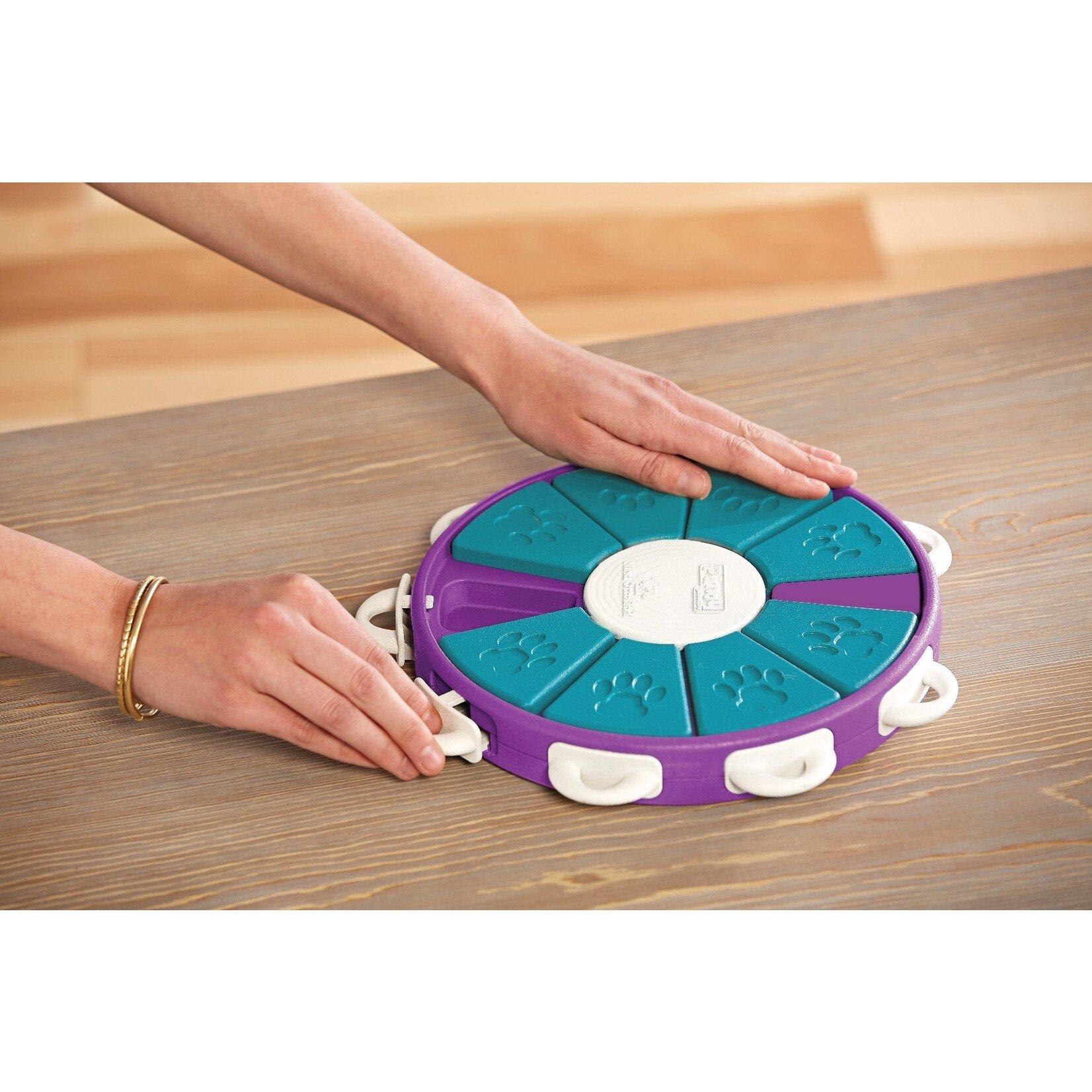 Nina Ottosson by Outward Hound Dog Twister (Level 3) Interactive Puzzle Toy for Dogs